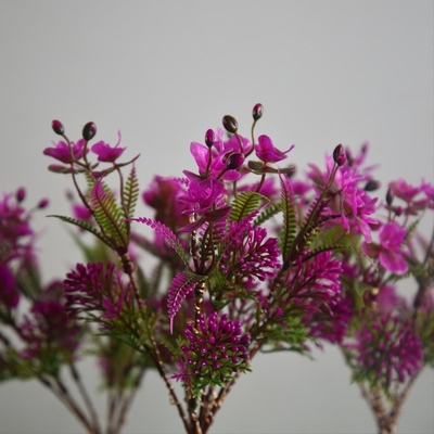 چراغ های باغ چراغ خورشیدی Phalaenopsis گل های وحشی کوچک چشم انداز باغ چراغ چمن