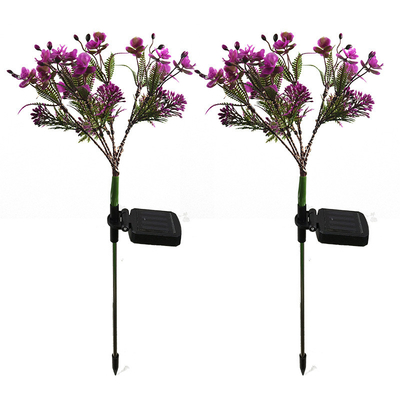 چراغ های باغ چراغ خورشیدی Phalaenopsis گل های وحشی کوچک چشم انداز باغ چراغ چمن