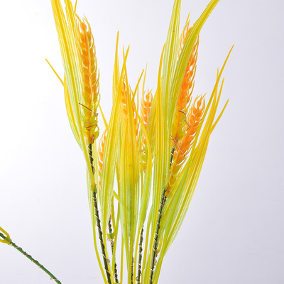 چراغ های باغی LED خورشیدی ضد آب در فضای باز 2700K LED Wheat Light Ra 60